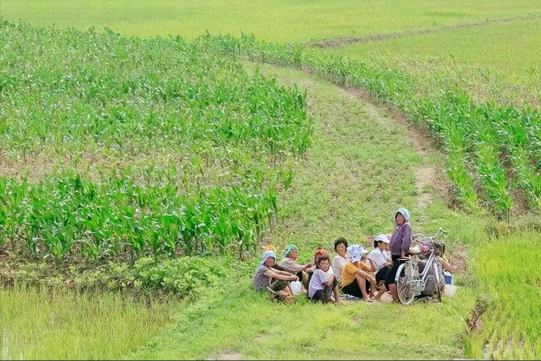 鑸瑰埌鏈濋矞鍗歌揣,鑸瑰埌鏈濋矞