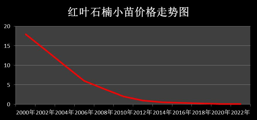 22年前,森禾从美国引进红叶石楠,一年小苗就卖了4亿元