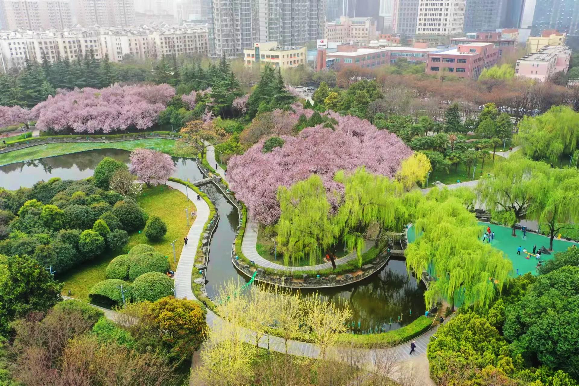 西安新城区和高新区,西安高新生态绿心规划