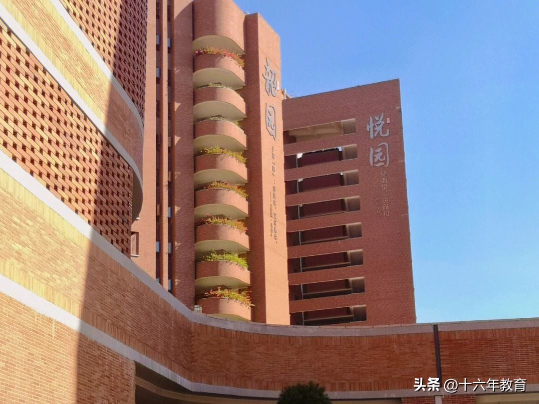 深圳中学作业多吗,深圳中学为什么考得那么好