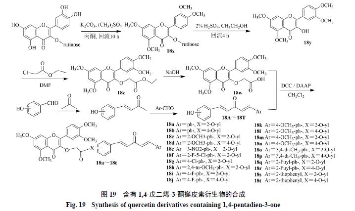 槲皮素的氧化机理,槲皮素的有关药物活性成分