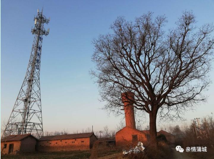 蒲城高阳镇有哪些村,蒲城有个高阳村