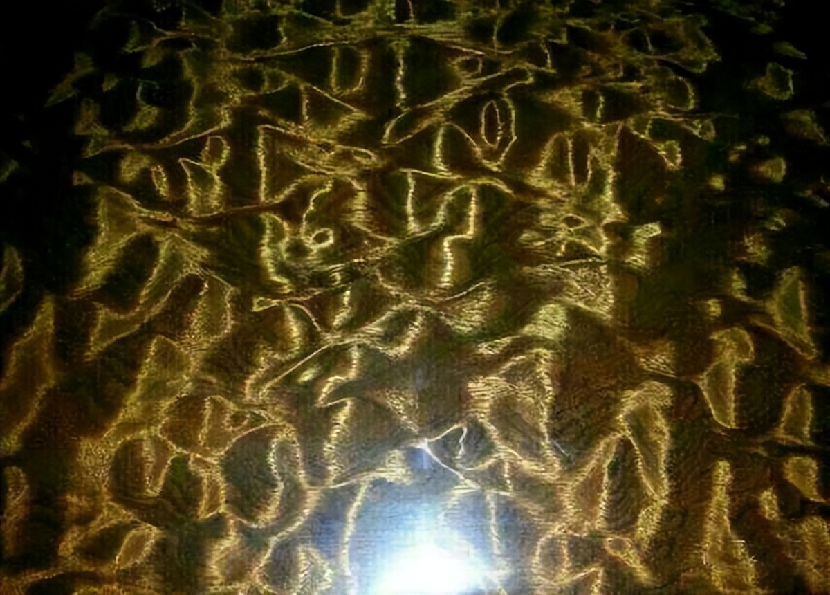 美出天际,流光溢彩的金丝楠木