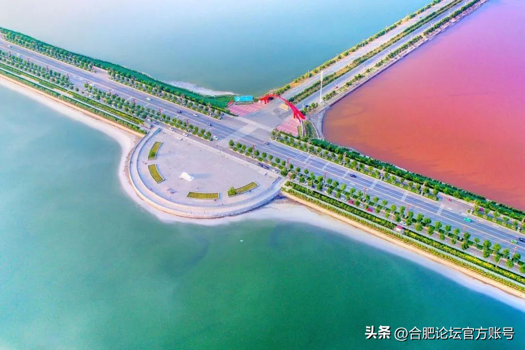 十一月合肥去哪里的机票最便宜,今年11月合肥特价机票