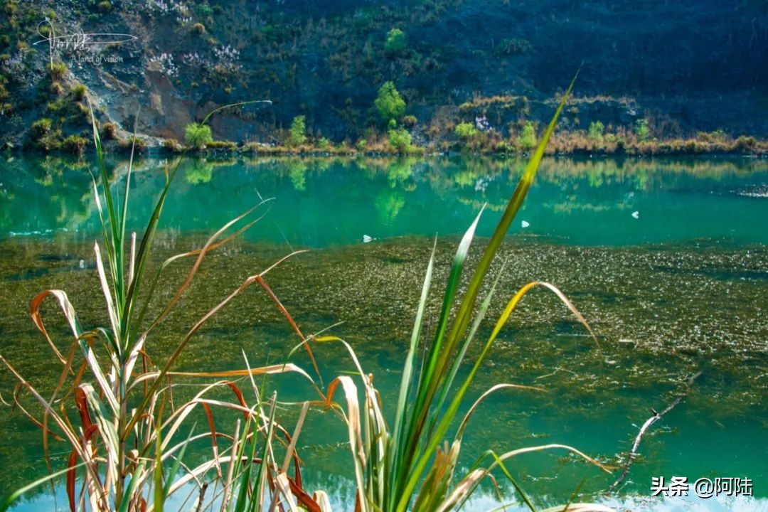 生活不仅有远方和苟且，还有“三蹦子”和矿坑，坐标杭州