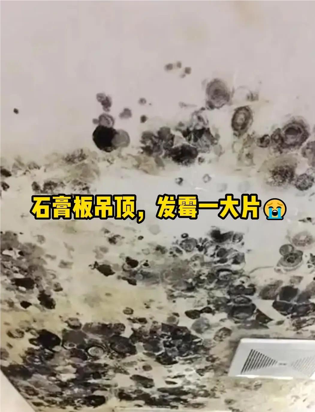 装修小白必看的20条建议,16条装修忠告条条干货