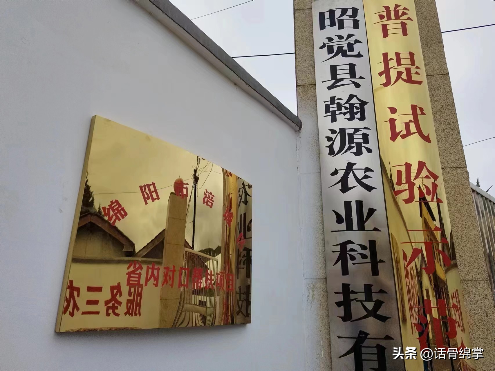 姹熸补骞虫鑱斿姩鍙戝睍,缁甸槼姹熸补鍗忓悓鍙戝睍