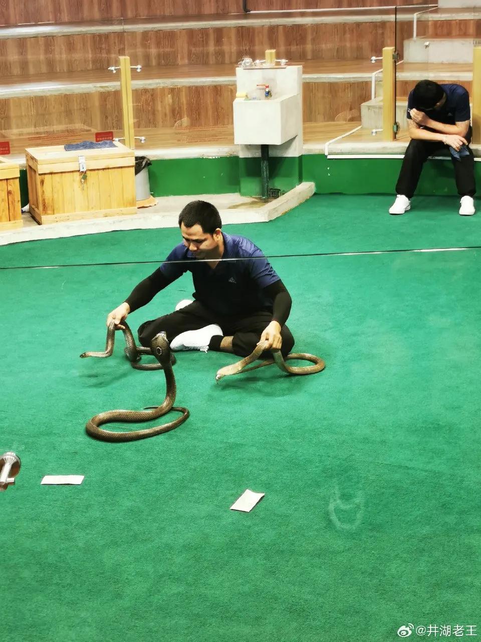 囧途三部曲泰囧,囧行在线观看完整版