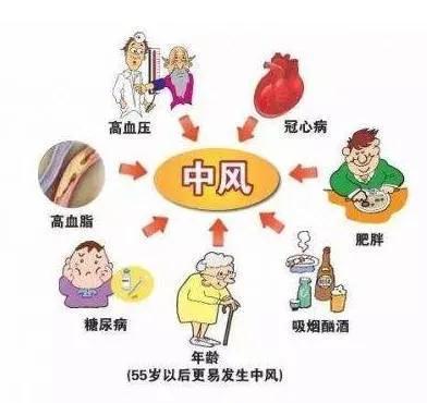 同型半胱氨酸20正常吗 (同型半胱氨酸高最佳食物)