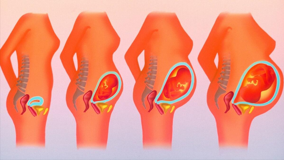 上怀和下怀的孕妈,上怀下怀跟妈妈体质有关吗