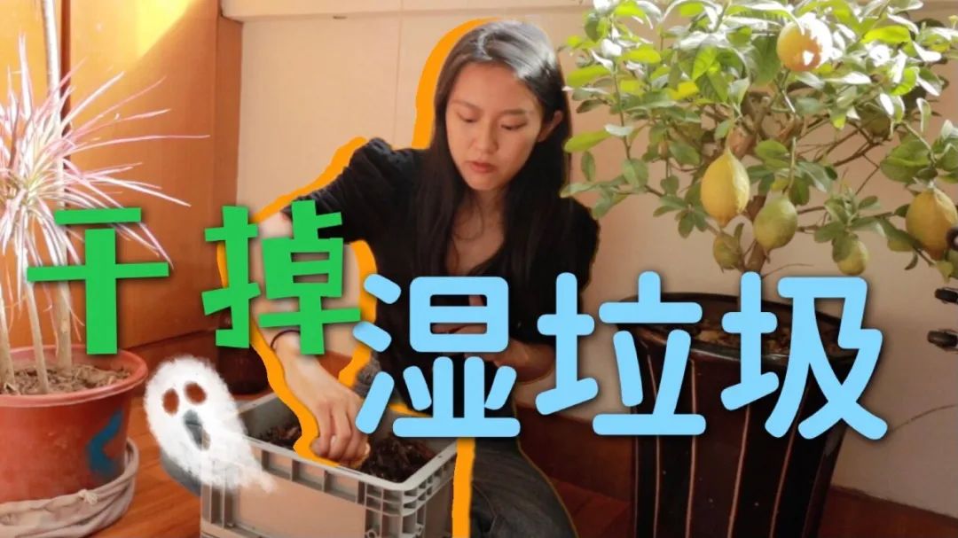 不点外卖，不买新衣，自制洗衣粉，养蚯蚓堆肥......24岁女孩的环保生活太“上头”