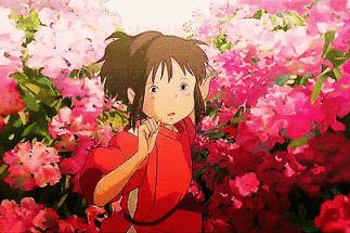 最美人间四月天,十堰蔷薇花盛开