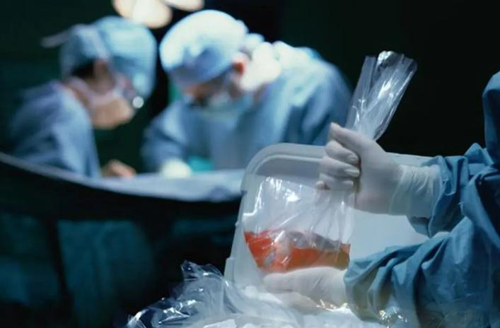 人兽真能杂交？日本批准“人兽杂交嵌合体试验”，福音还是灾难？