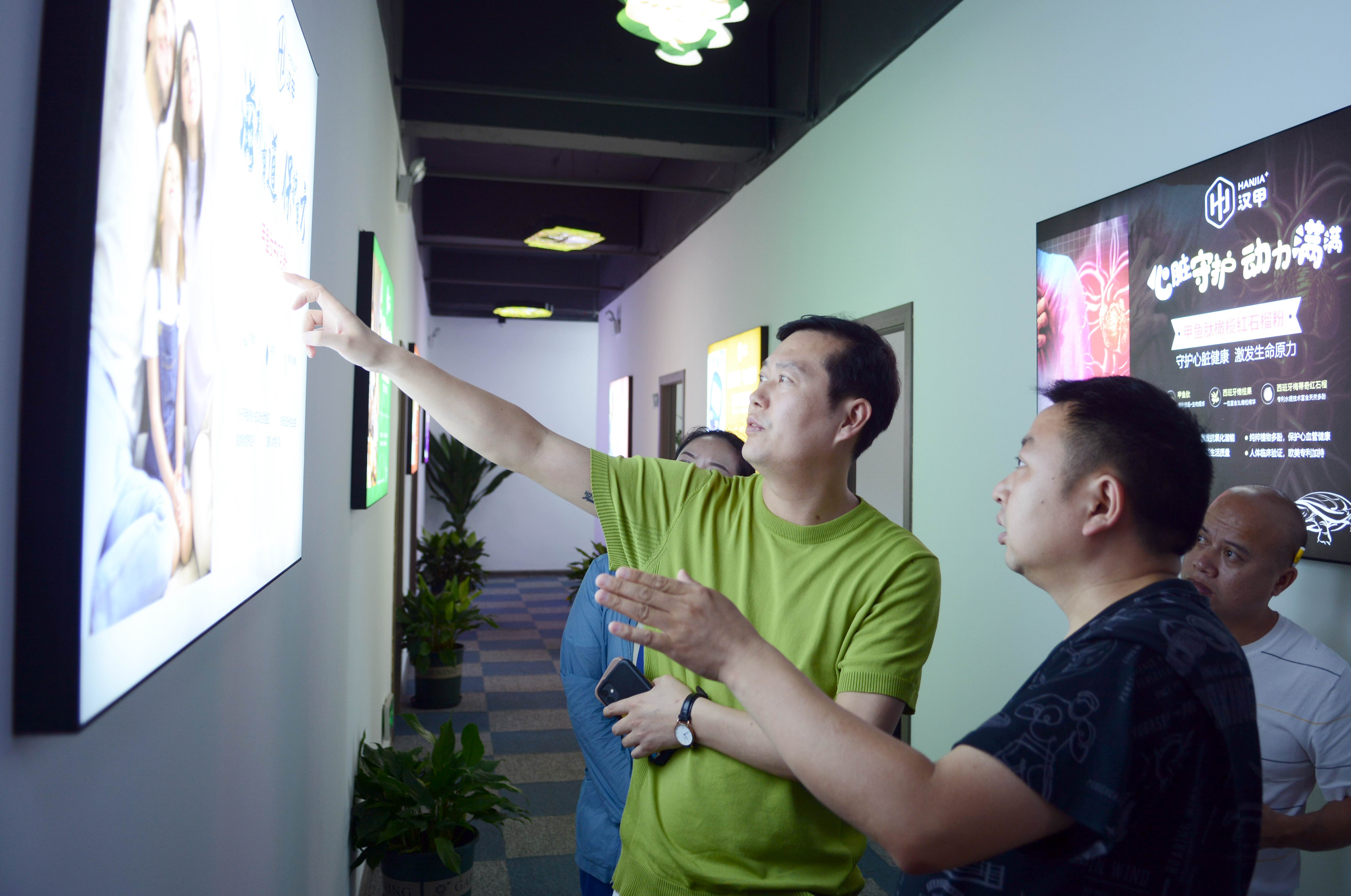 最顶级的湖南汉寿野生甲鱼,汉寿正宗外塘甲鱼