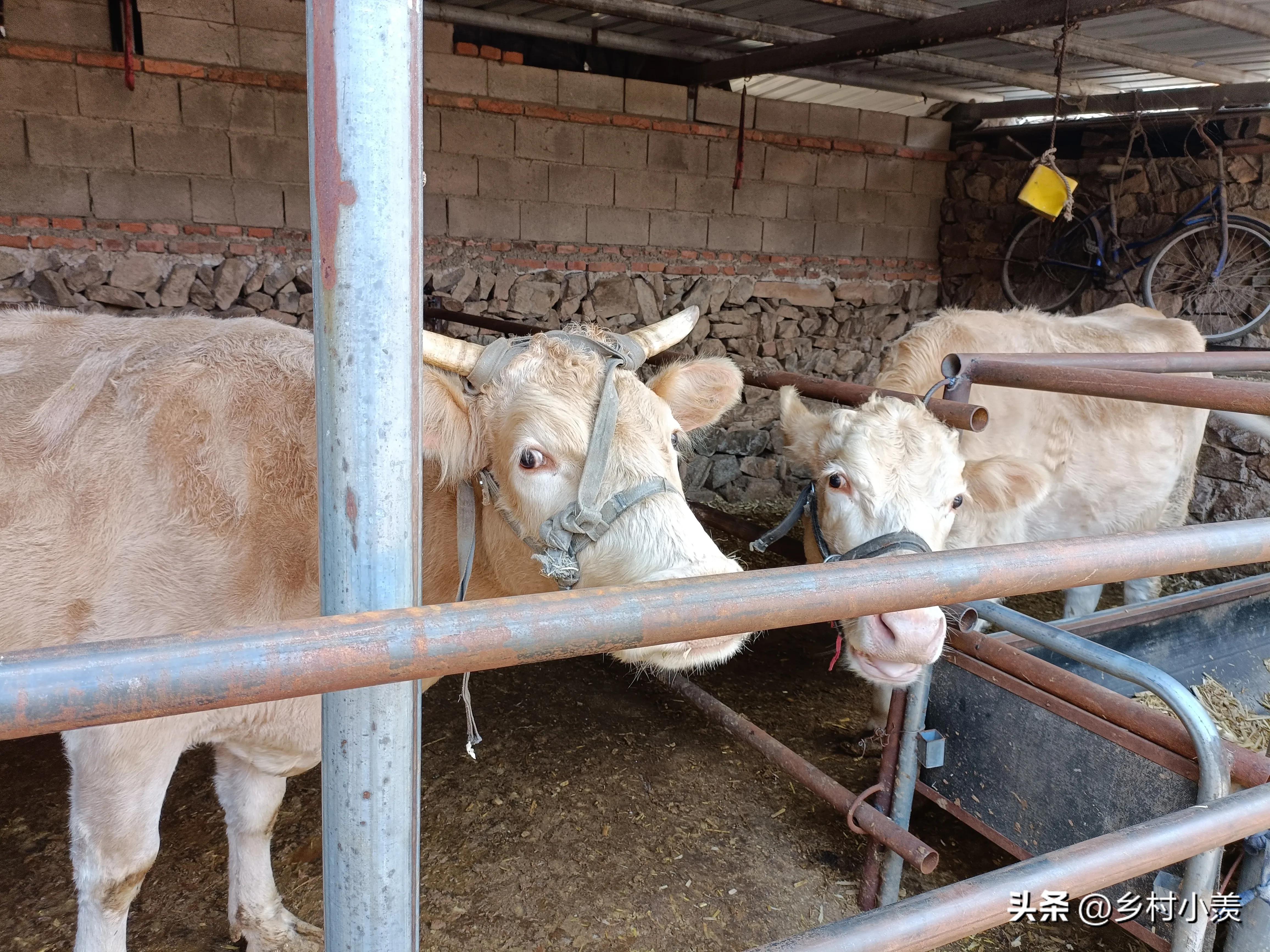 农民种地最辛苦但又不挣钱,关于农民种地不赚钱的文章
