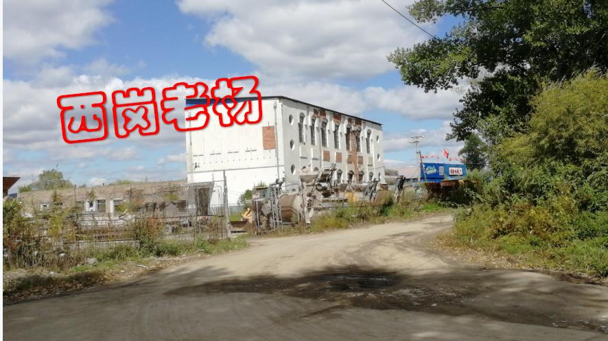 农垦北大荒知青故事,北大荒老故事