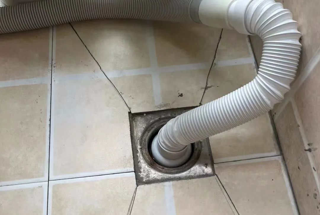 房间里突然多了好多蟑螂怎么解决,房间有蟑螂怎么彻底解决