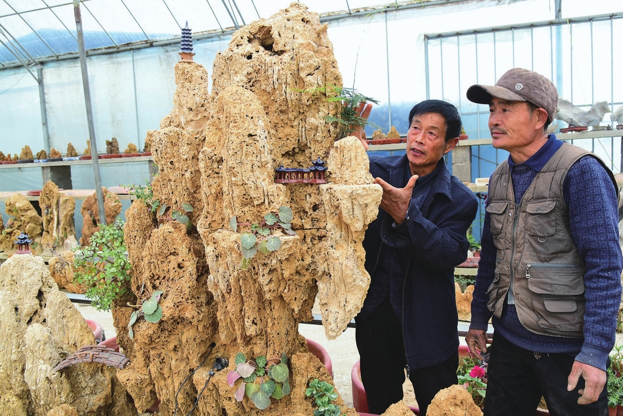 上水石盆景摆放讲究,上水石盆景种植绿植的方法