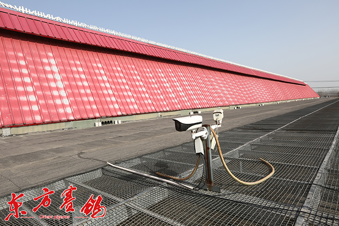 为赛鸽早生华发写春秋——江苏爱翔公棚董事长李伦十一载心系赛鸽情