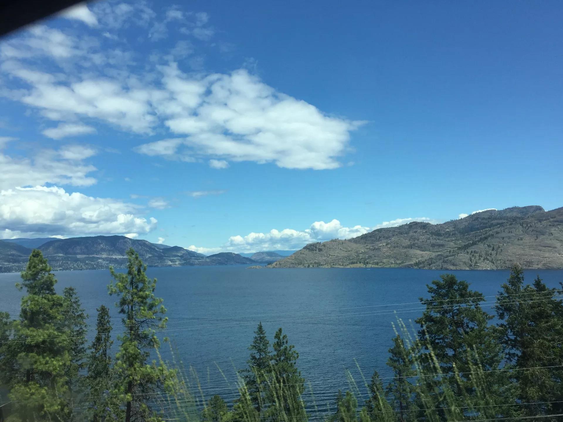 青岛如何带上猫猫去加拿大多伦多,钱猫猫加拿大之旅