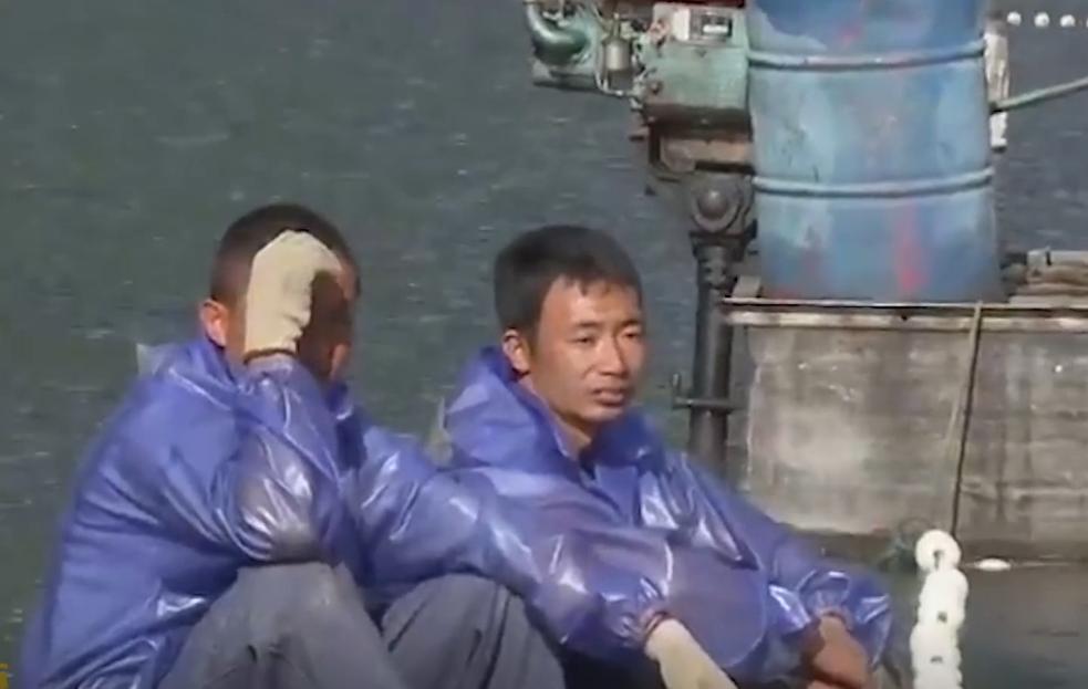 万尾鱼苗离奇失踪,鱼苗死亡鱼苗老板有责任吗