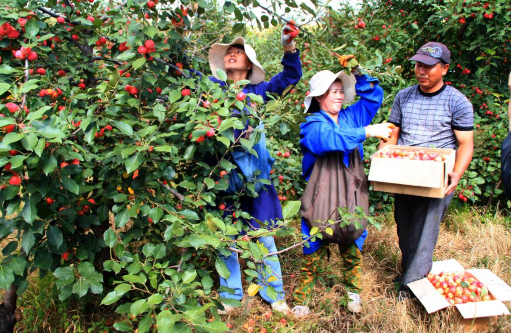 非转农还有宅基地么,非转农宅基地新政策