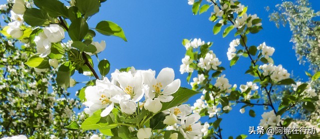 怎样从零开始运营好社群,社群运营电商运营产品运营