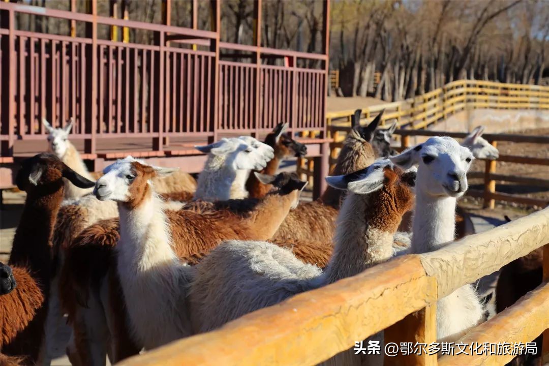 三月份去踏青旅游攻略,踏青赏春旅游攻略