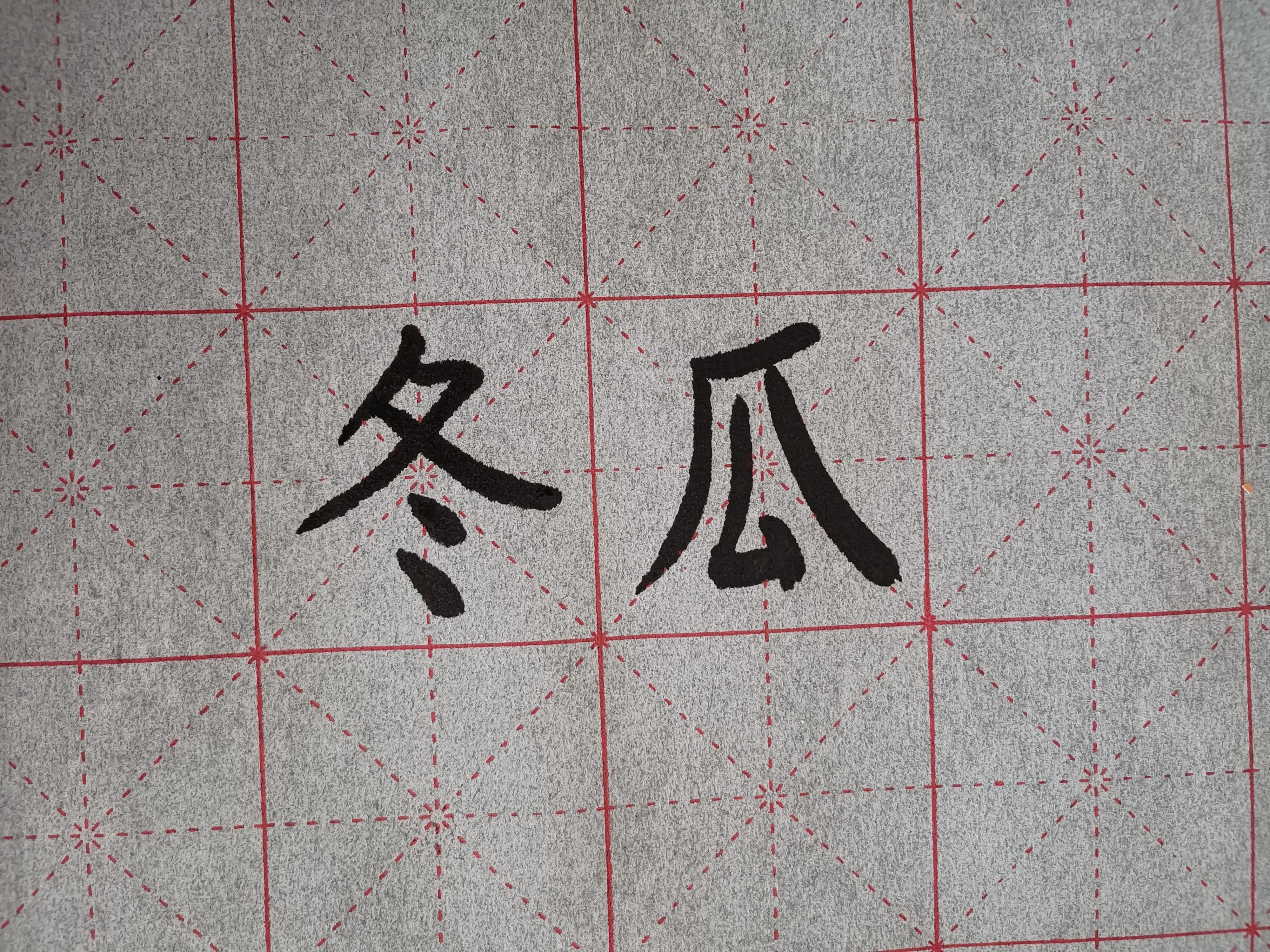 朴实的冬瓜,朴实的大冬瓜