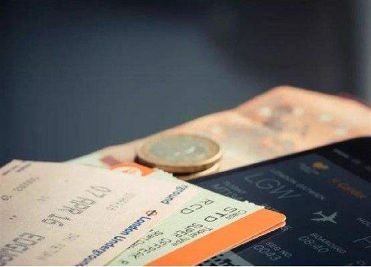 男子花25万美元买了张无限次机票,小伙花25万买了张无限次机票