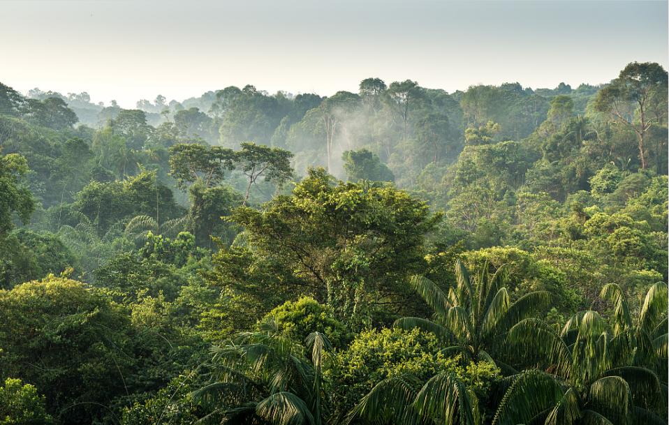 西双版纳的地标,西双版纳6国地标打卡