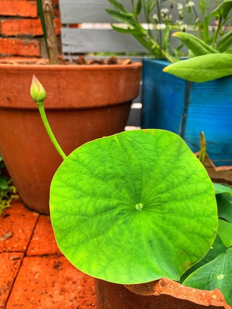 两家共用一个平台怎么解决,两家共用一堵墙发生矛盾怎么处理