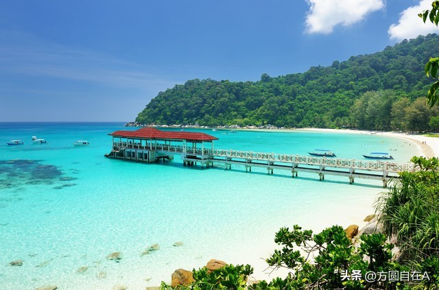 珍惜陪孩子的时光,珍惜陪孩子长大的这几年