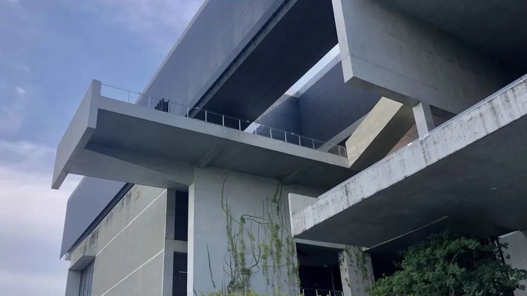 收藏打卡！坪山区原来有这么多地方可以逛，免费又好玩