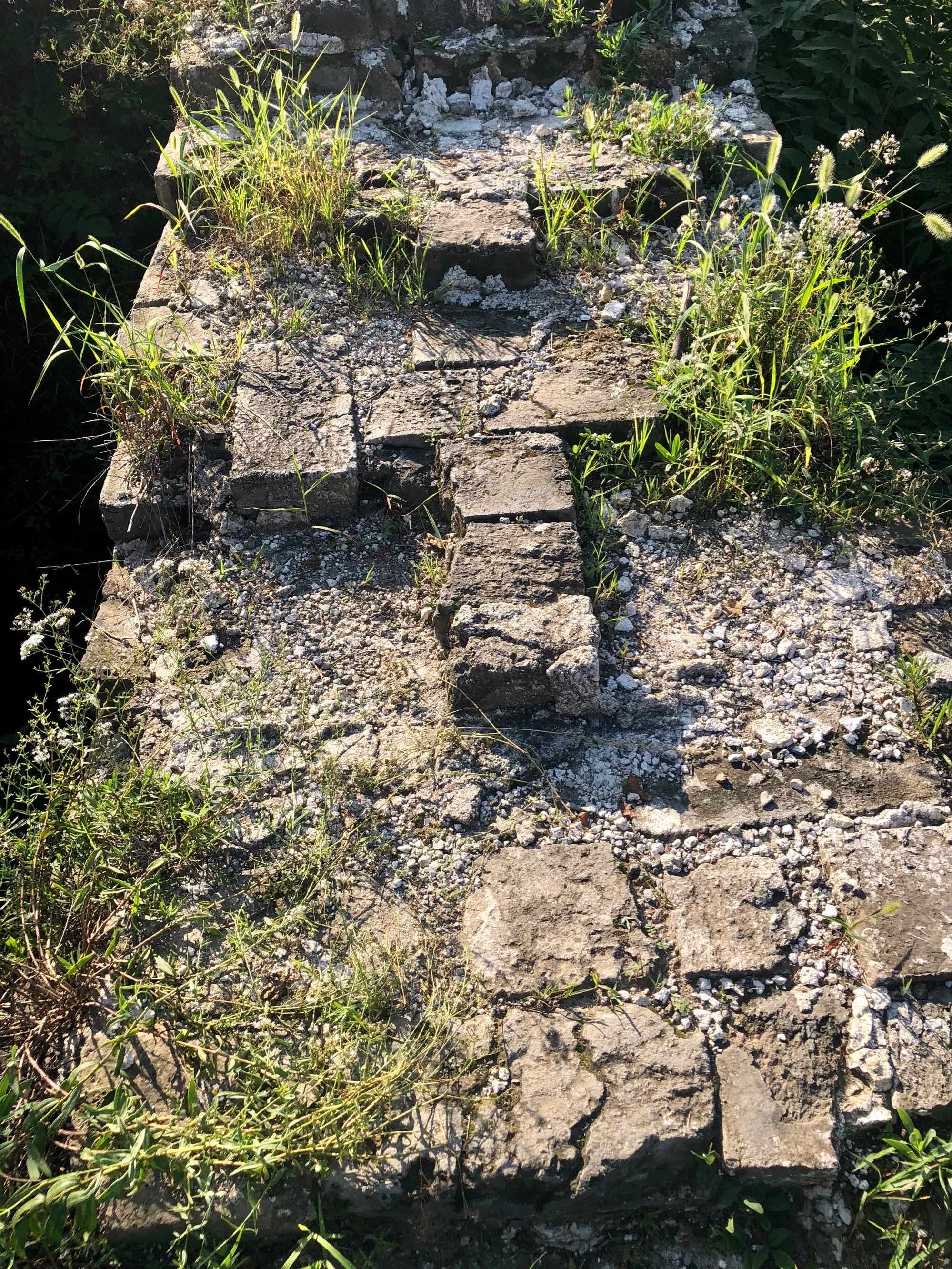 高高的紫云山,我们的青春故事曾在这里演绎