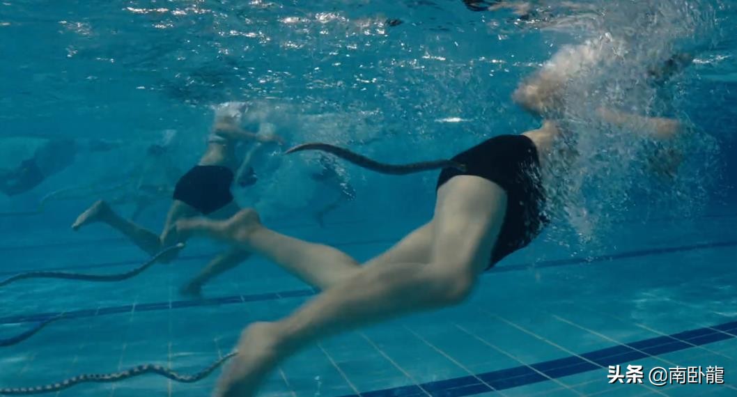 巨蛇闯女校电影剪辑,巨蛇闯女校电影在线播放