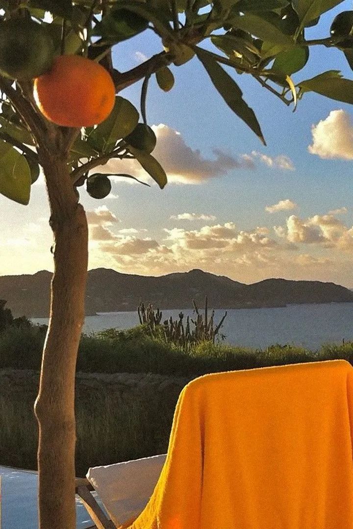 柑橘女士淡香水推荐哪款好闻,一款高级氛围又好闻的独特香水