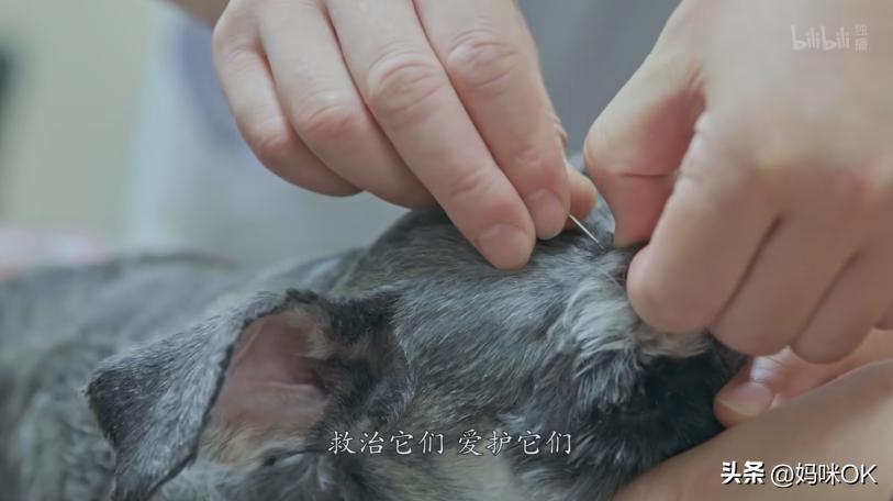 张雪峰讲的大实话一点不夸张,张雪峰十年前说的话已成现实