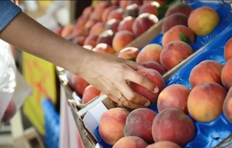 打工要做什么最赚钱,打工赚钱尝试一下四种职业