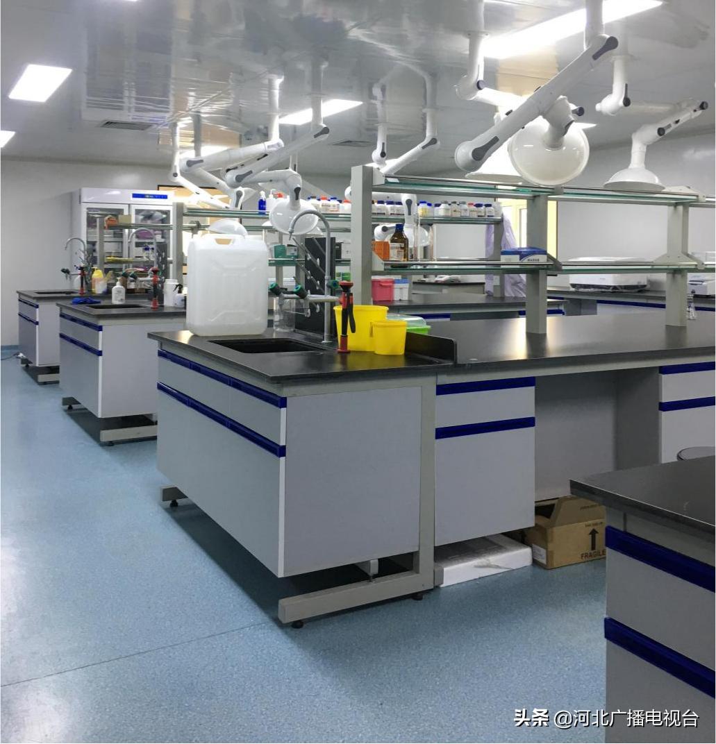 廊洽会项目,聚焦创业项目