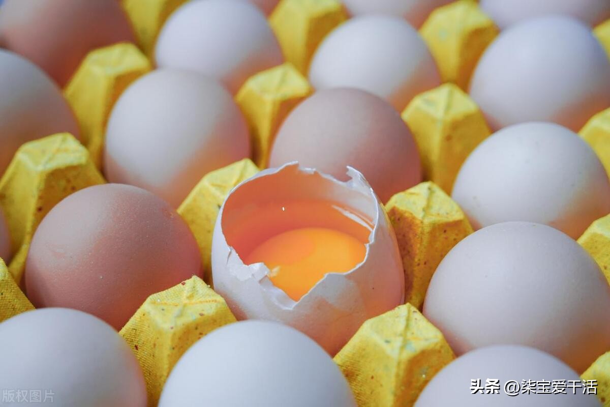 钩织超大蛋兜,简单钩蛋袋100种