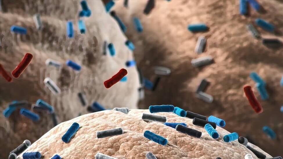 派特益生菌有助于清除hpv病毒吗,派特灵使用多久才能治愈hpv