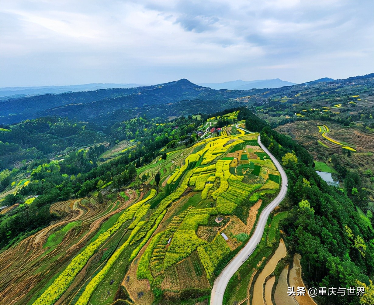 忠县:“库心”仲冬“绿”如春