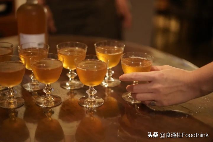 流动的菌种，交织的人：如果我们的语言是康普茶