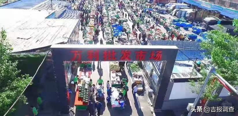 长春农贸批发市场改造,长春菜市场改造方案