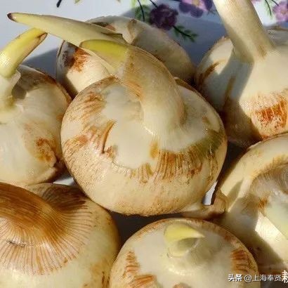 孕妈健康食谱,孕妈应该怎么饮食对宝宝好