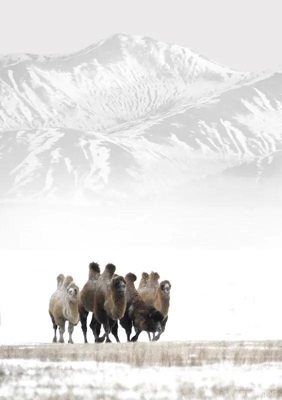 画意风光,画意风光摄影