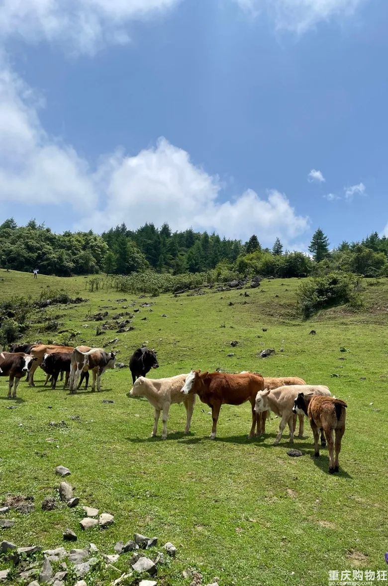 小长假旅游景点大全,夏季周边旅游美食之旅