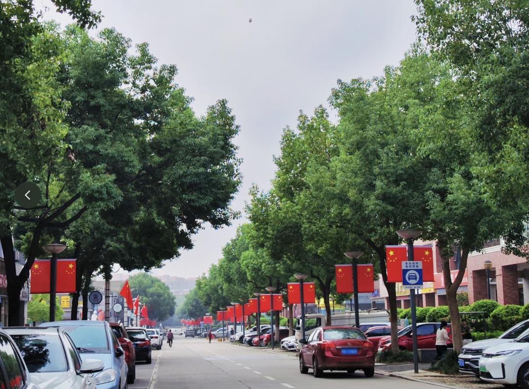 今年国庆合肥高新区，红了！