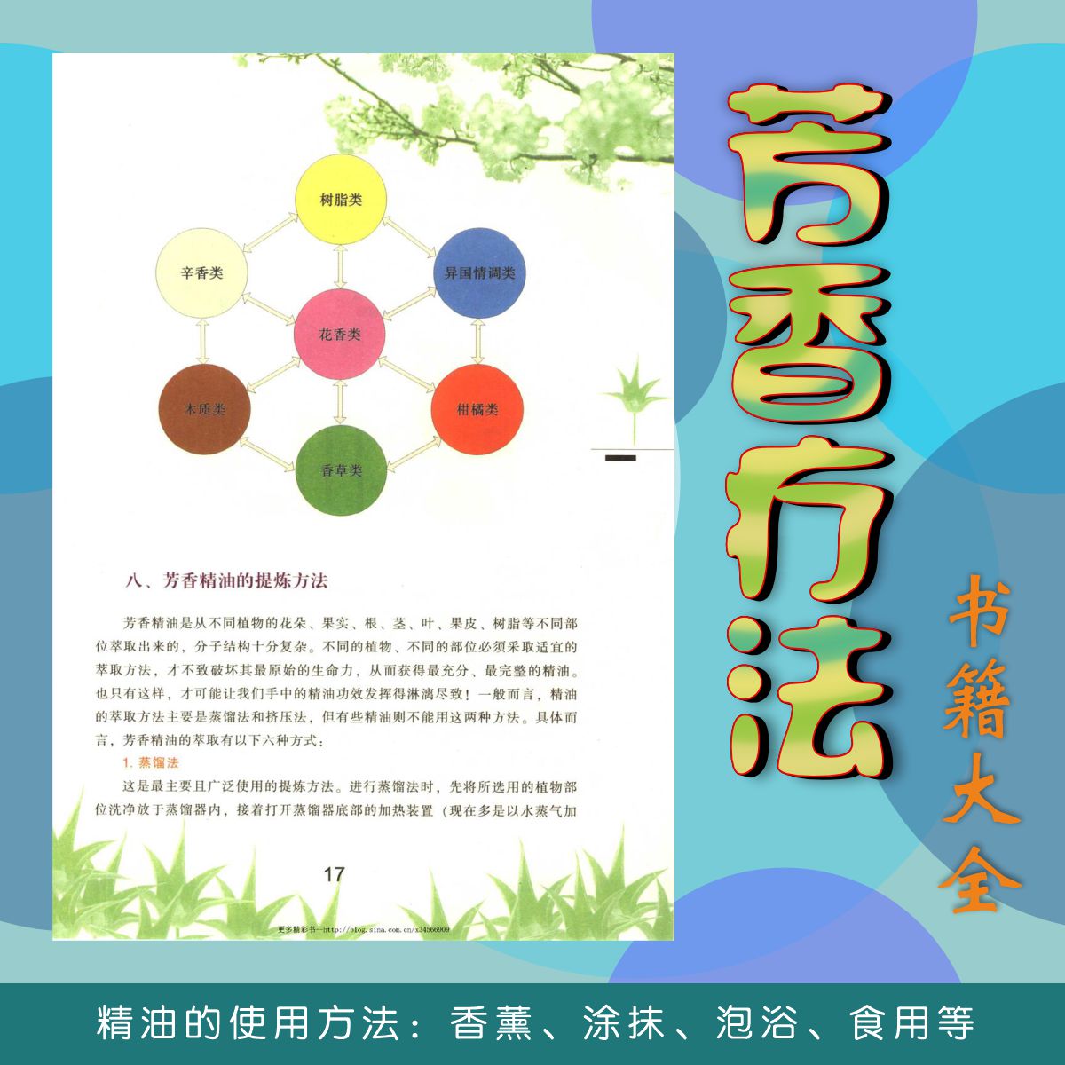 芳香疗法入门书籍推荐,芳香疗法知识